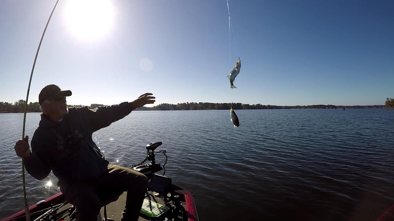 A Great Way To Catch Perch & Stripers In The Fall