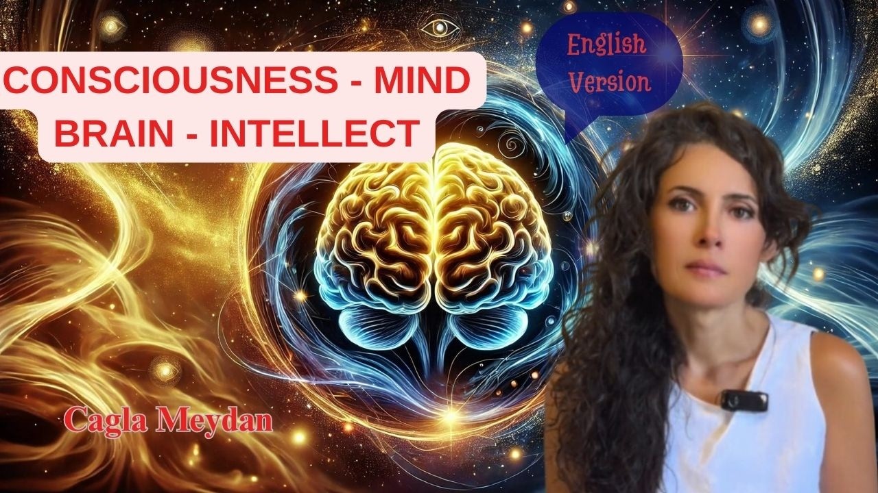 Understanding the Concepts of Consciousness, Mind, Brain, and Intellect