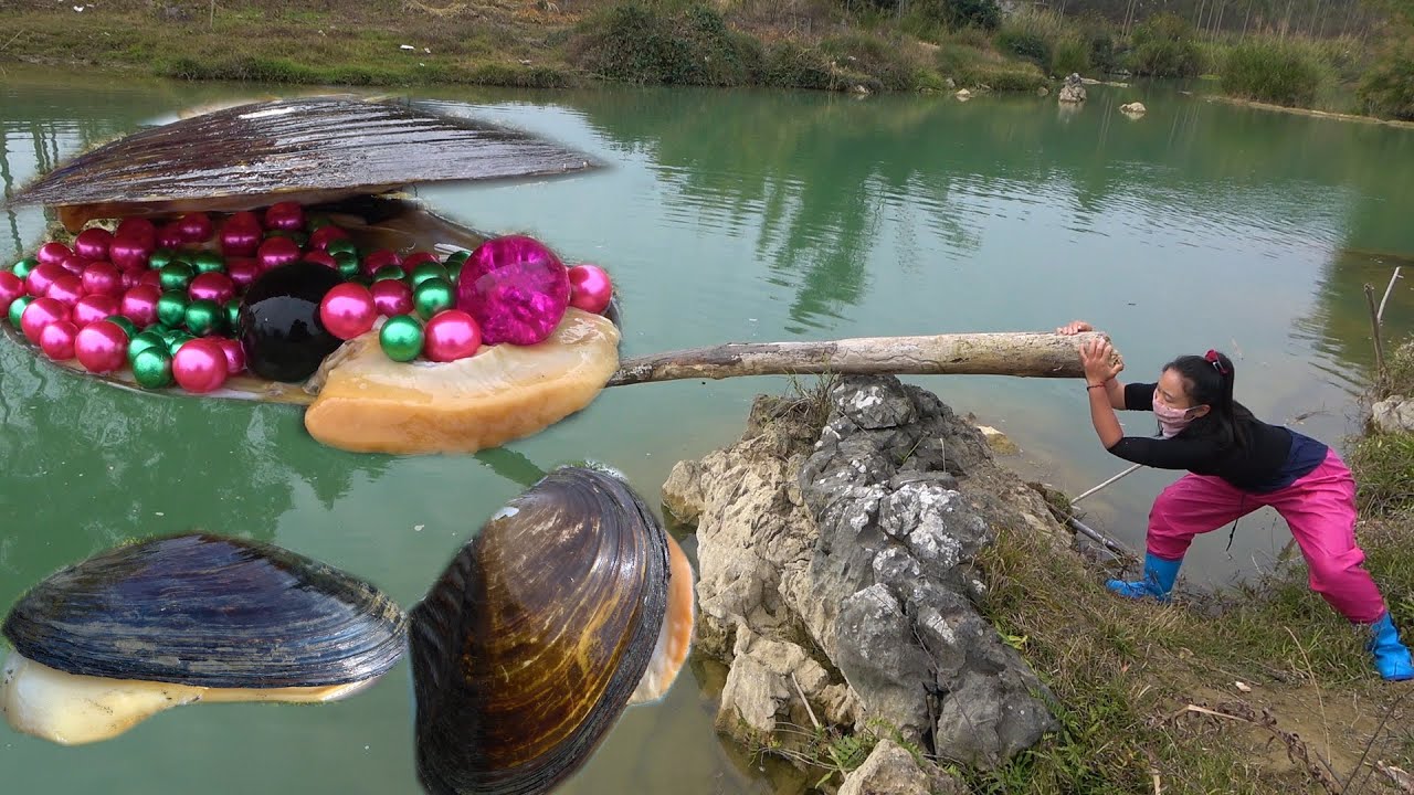 🎁🎁Prying open the giant clam, I exclaimed excitedly, filled with beautiful colored pearls inside