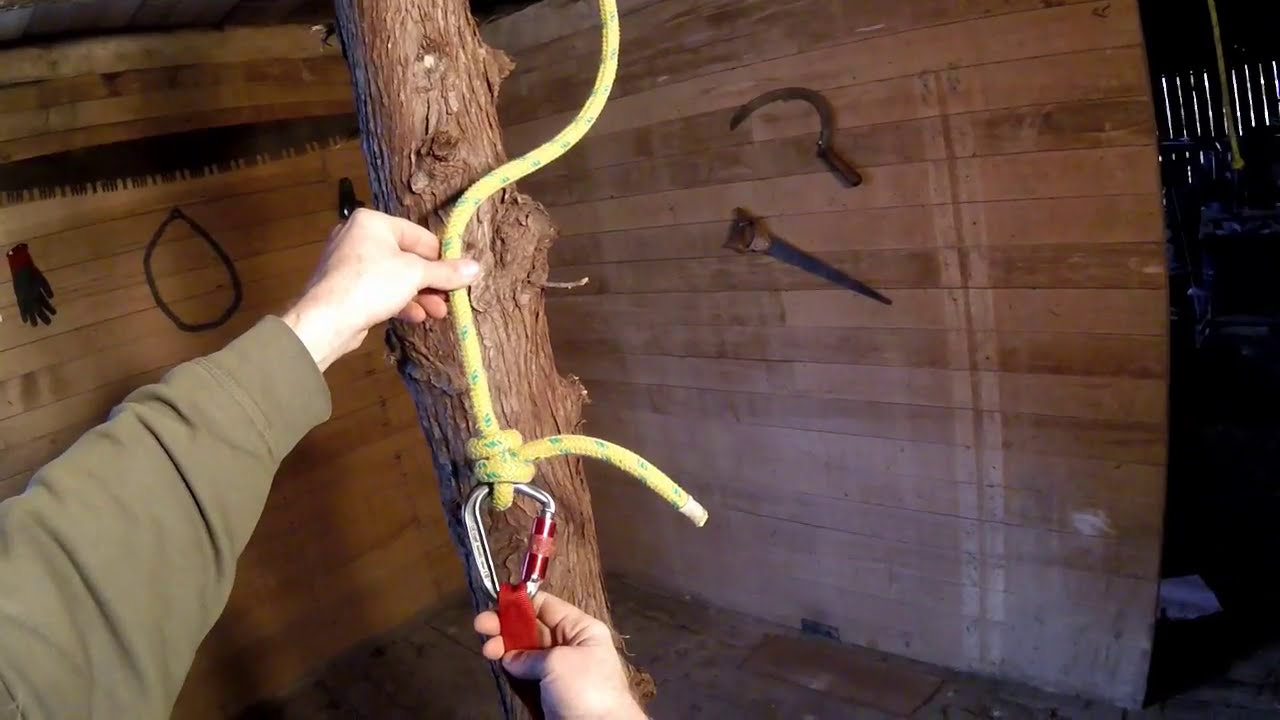 The Buntline