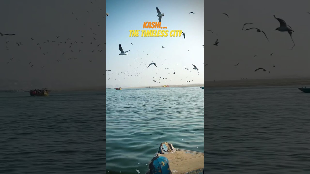 Morning Bliss in Varanasi 🌅✨ Boat Ride on the Ganges | Divine Experience 🚣&zwj;♂️🕉️ #dilsevlogging