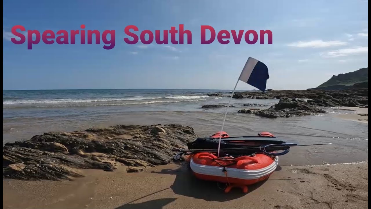 Spearfishing South Devon 23