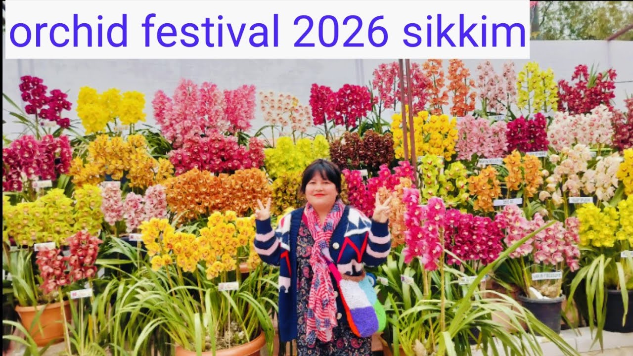  India Orchid festival 2026 sikkim pakyong plant and flower 