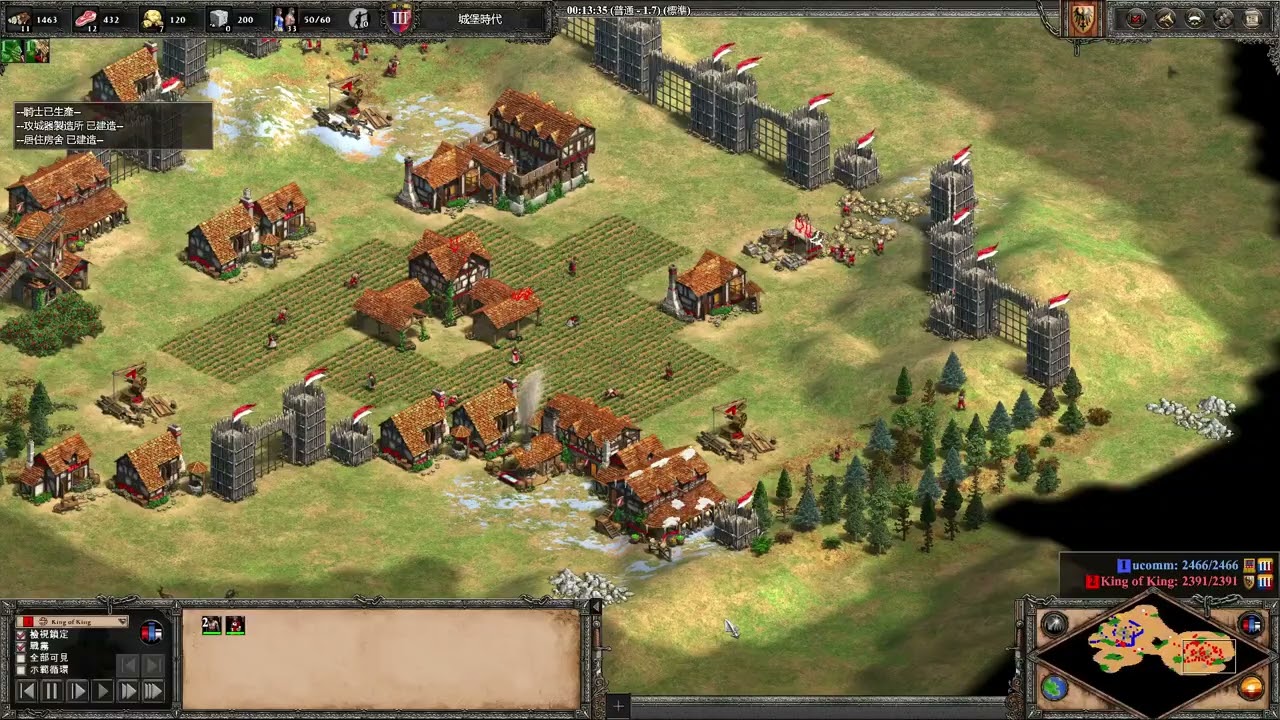 AGE II Finally no gold's battle.