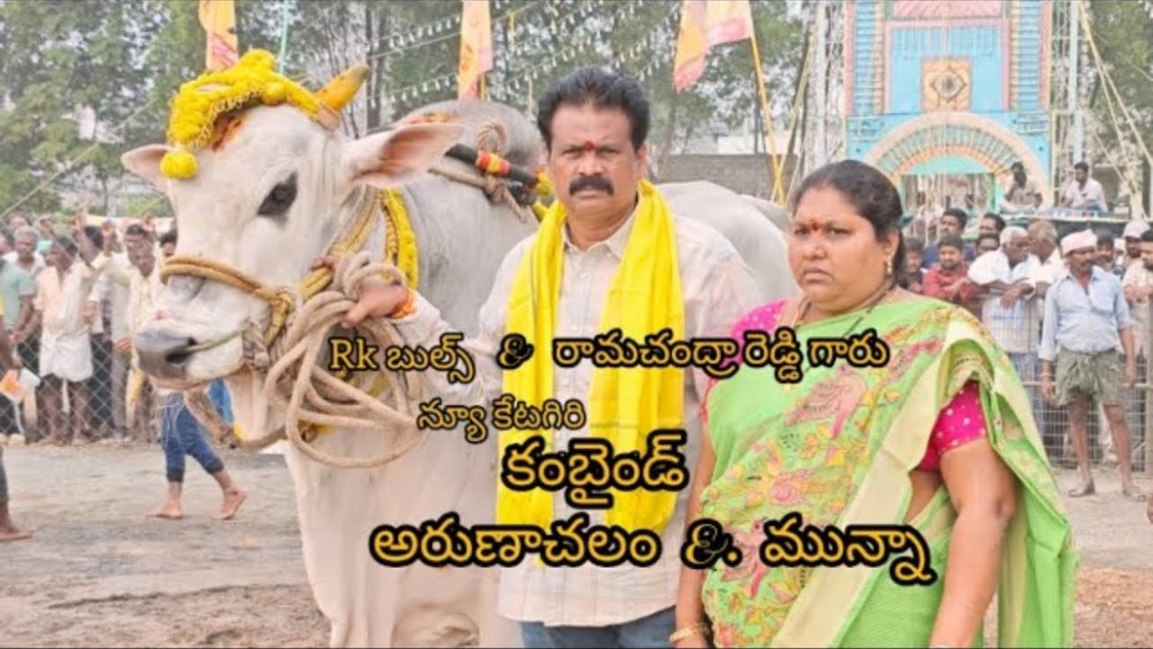 కాల్వబుగ్గ న్యూ క్యాటగిరి విభాగం 15 వ జత బుల్స్