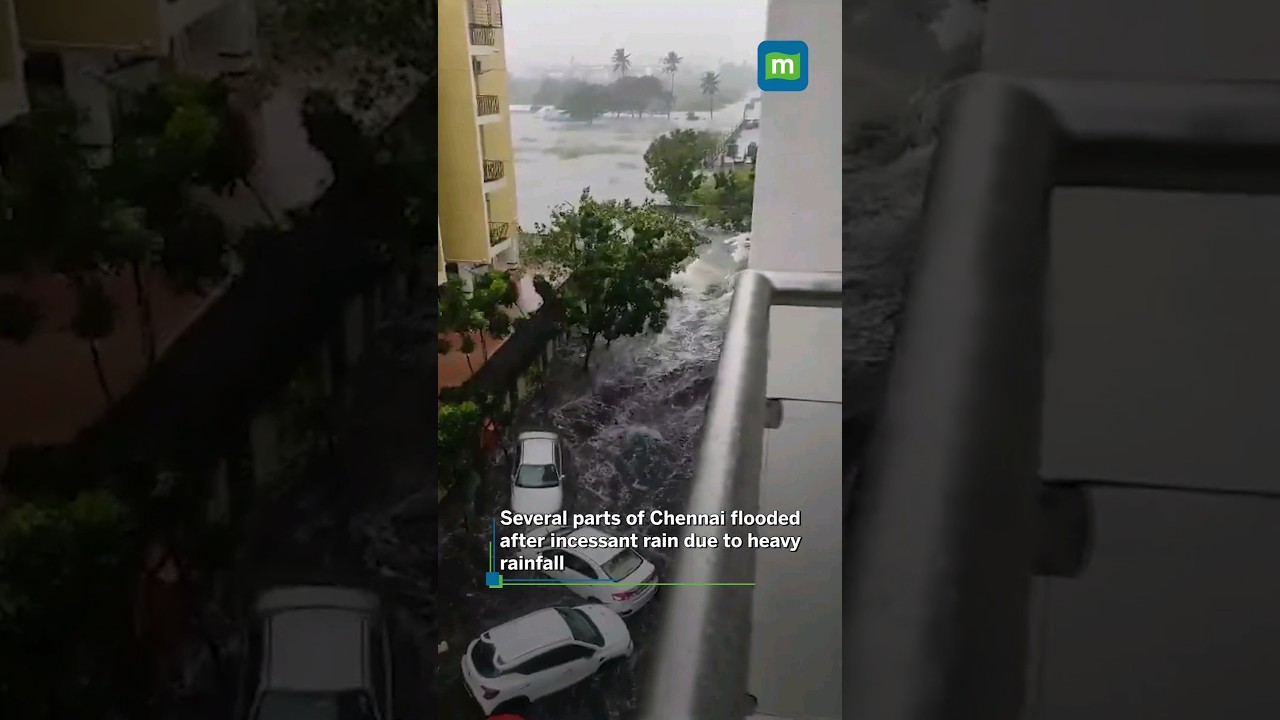 Floods In Chennai Due To Heavy Rainfall #rain #floods #chennai #cyclonemichaung #cyclone #short
