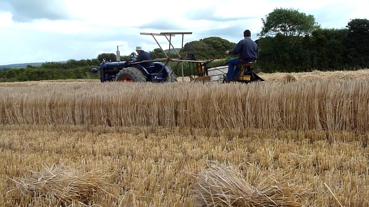 Cutting Barley with a 1922 Albion Binder and a1948 P6 Major
