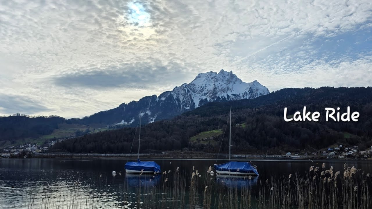 A peaceful bike ride by Lake Lucerne 🚴‍♀️🌊