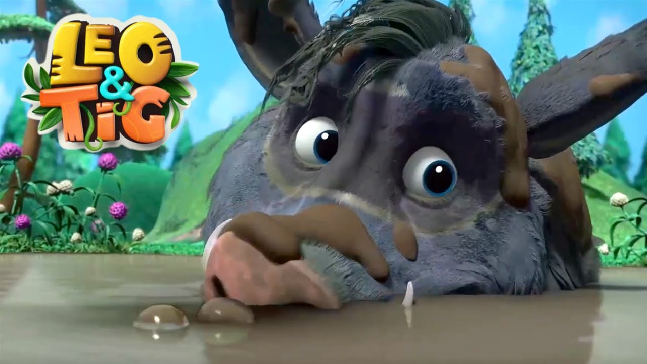 Leo e Tig 🔴 Aventuras na floresta 🔴 LIVE 🔴 Desenho Infantil ⭐  Desenhos Animados Para Crianças