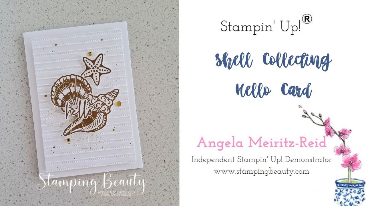 SHELL COLLECTING HELLO CARD