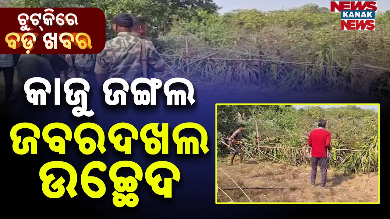 Chutkire Bada Khabar || 12th January 2026 || 4PM Digital Bulletin || Kanak News