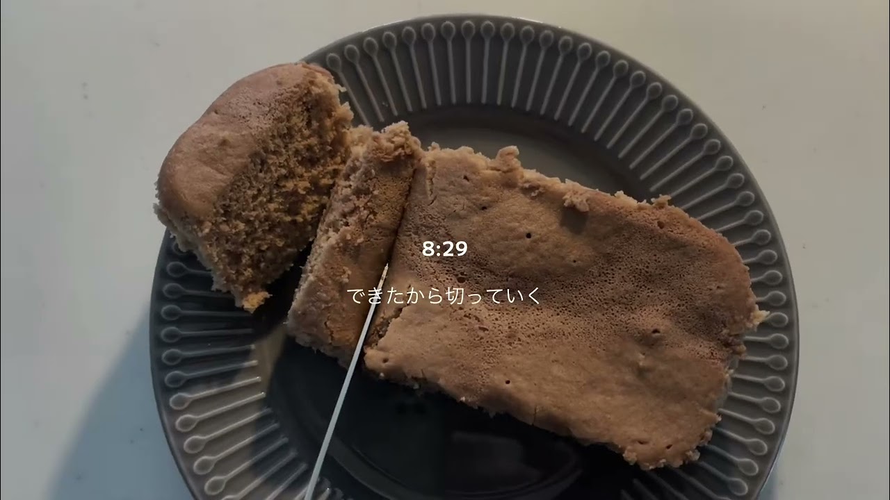 日常生活のビデオブログ