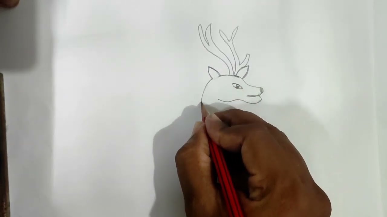 Mind Blowing Animal Drawings by a Kid Artist! 🎨🐾