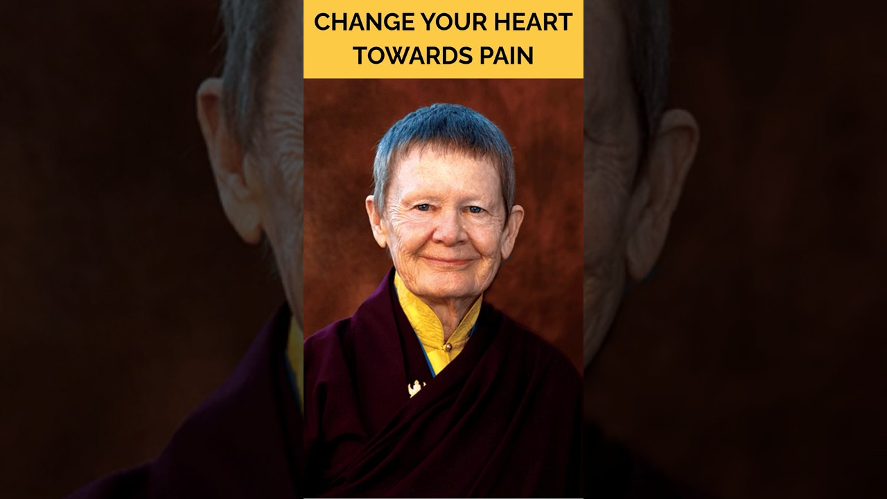 Staying Present With Something That's Painful, with Pema Ch&ouml;dr&ouml;n