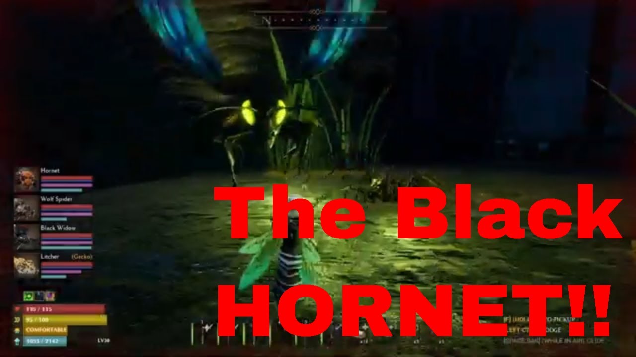 Smalland Survive The Wilds | Ep 19 | Taking Down The Black Hornet!!