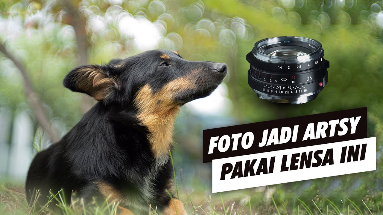 Battle of 50mm Lens Voigtlander | Heliar VS Nokton