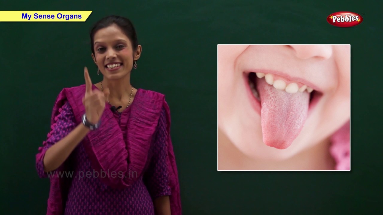 Science For Class 1 | Science Basics For Children | Science Activities For Kids