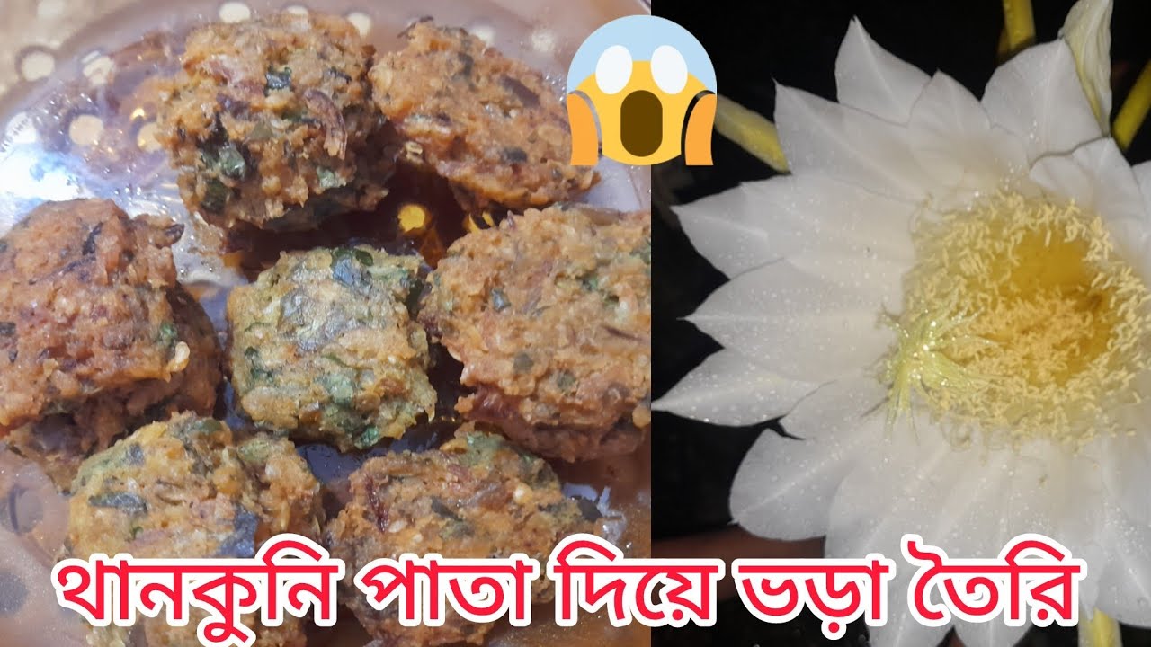#থানকুনি পাতা দিয়ে ভড়া তৈরি করতে গিয়ে কিছু না ভুয়া কাহিনী 😱
