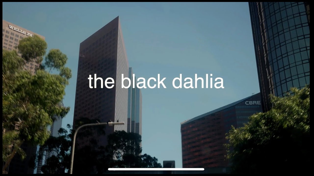 lofi docs presents: the black dahlia