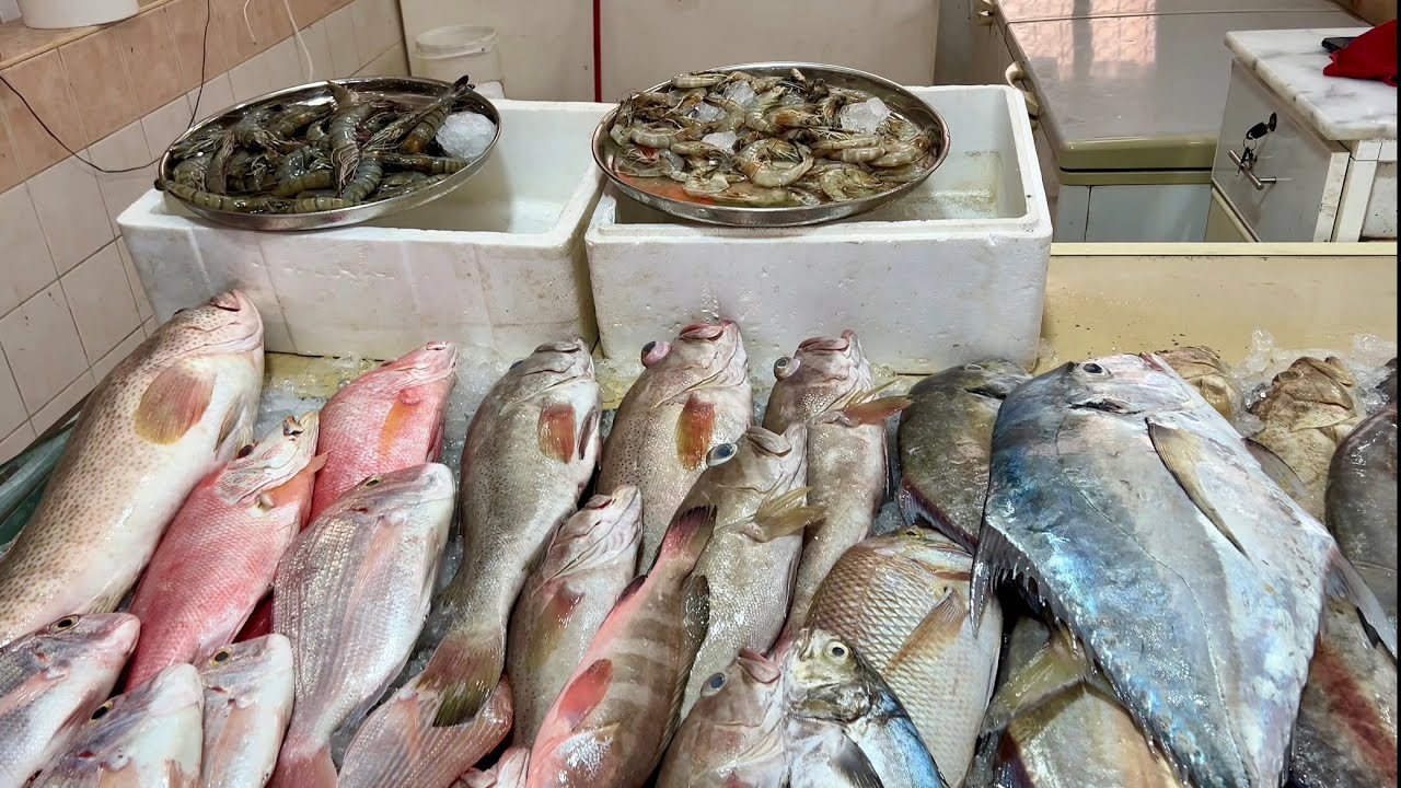 Рыбный рынок в Фуджейра ( Fish Market )