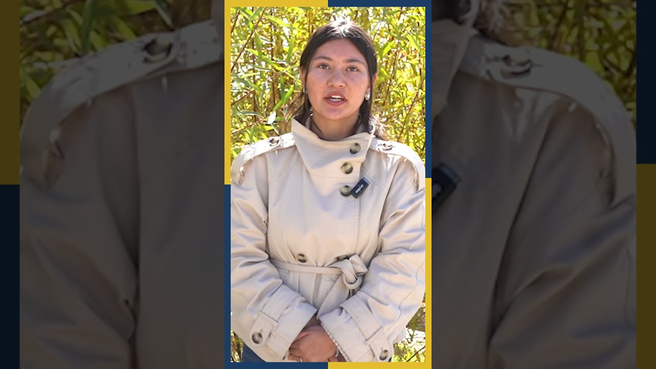 &ldquo;The BLO helped me enrol in the electoral roll. You can apply both online and offline.&rdquo;