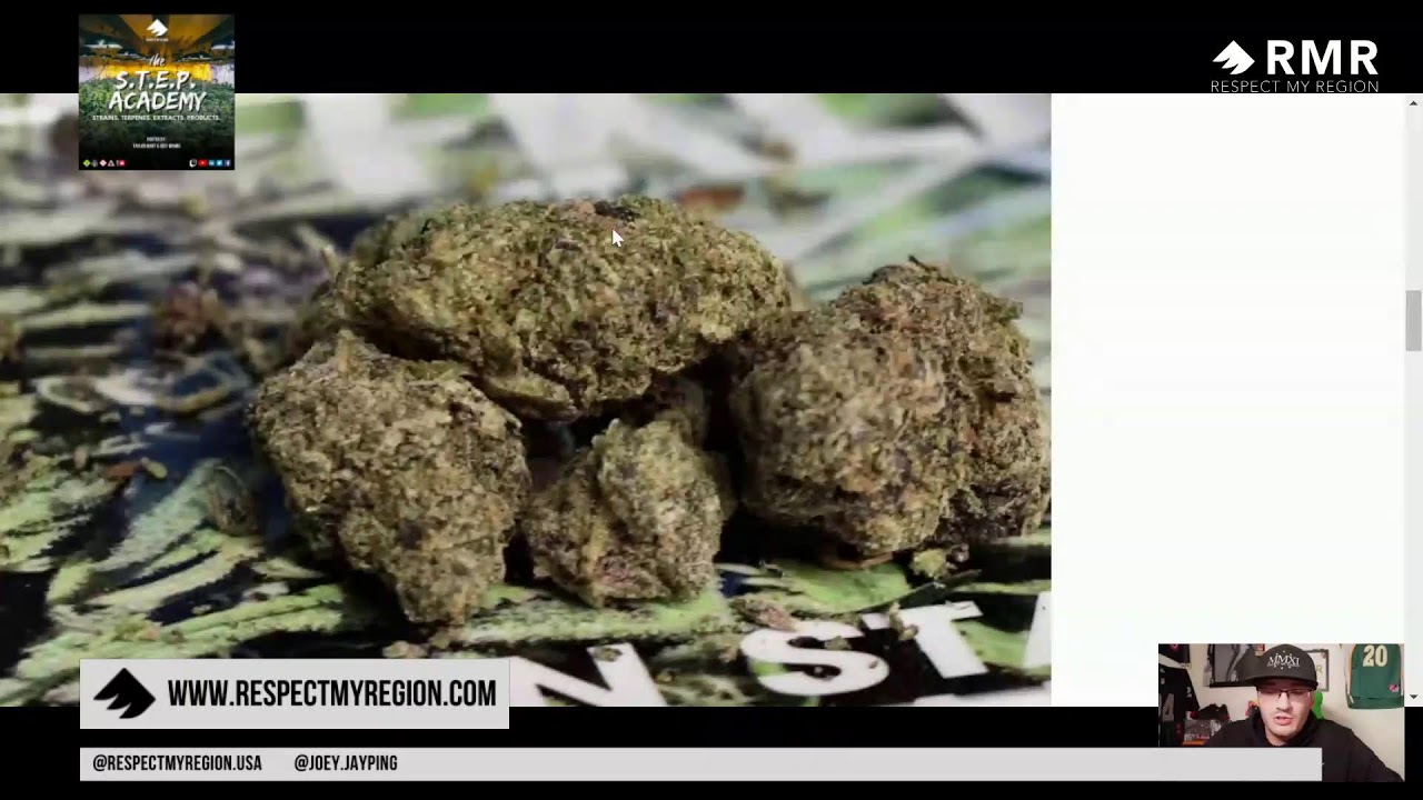 2090 Shit Strain Profile Ft. POWERZZZUP and Cookies California | S.T.E.P. Academy S1 E2