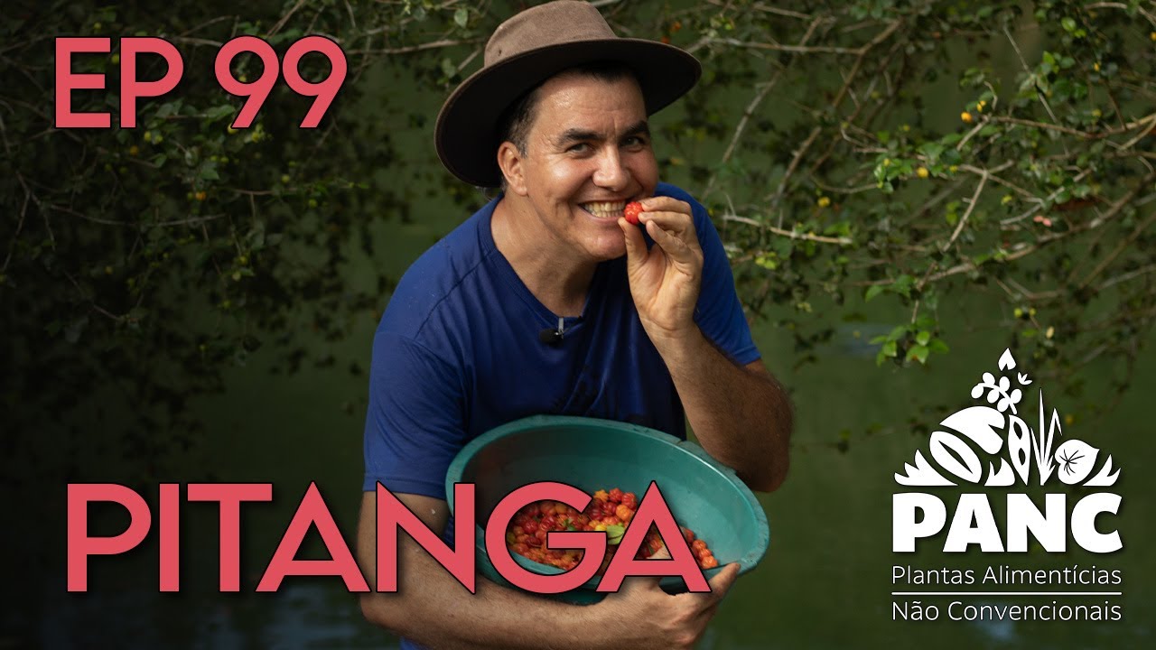 EPISÓDIO 99 - PITANGA |#pancnaveia #valdelykinupp