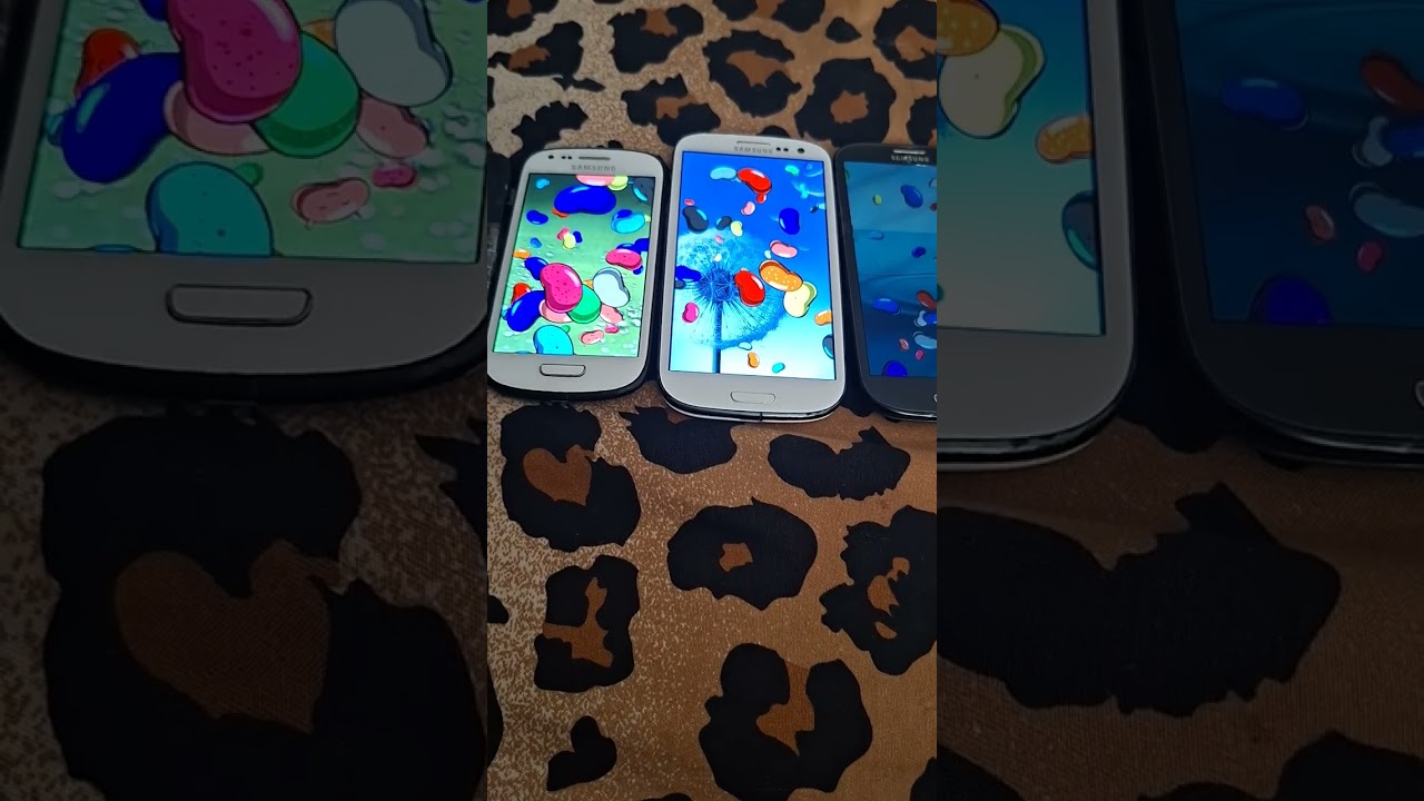 My samsung Phones !