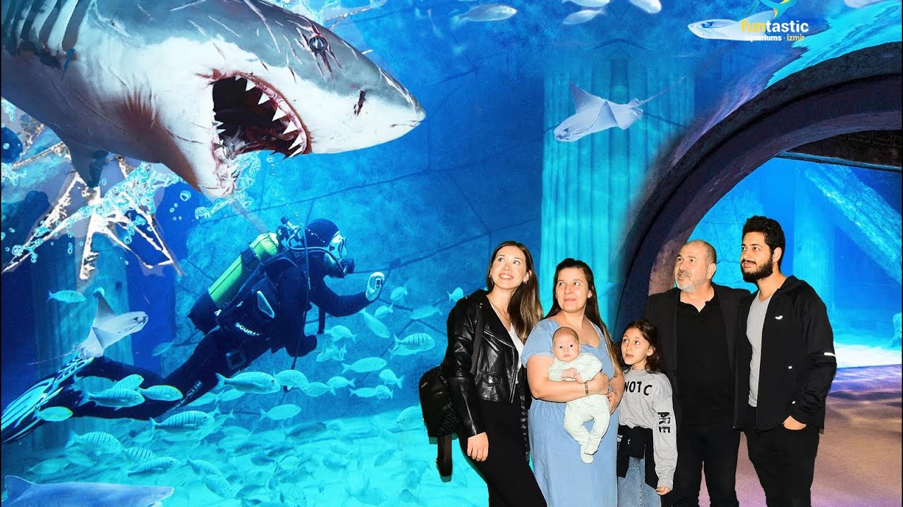 Funtastic Aquarium İzmir | Akvaryum gezisi | İzmir Akvaryum Westpark