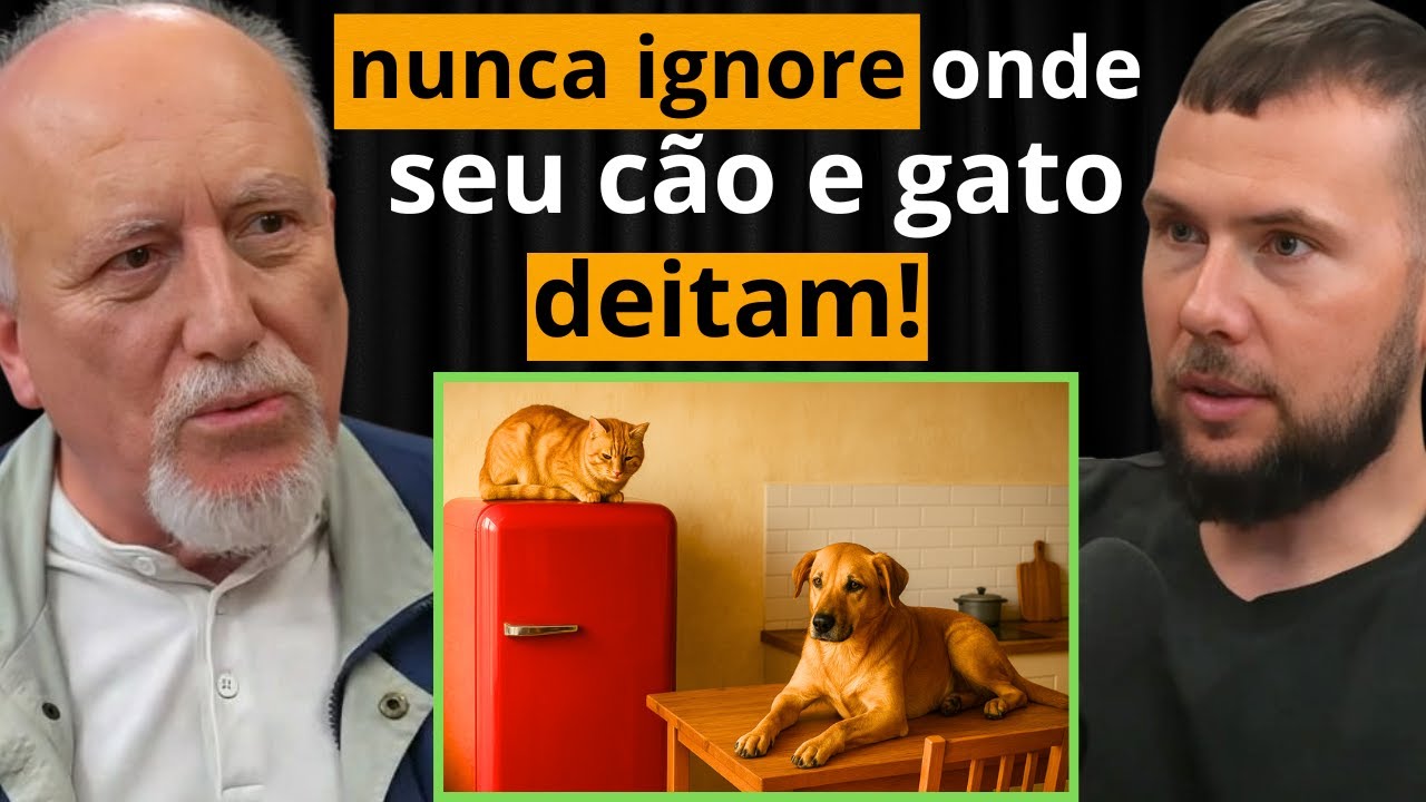 Descubra o Segredo que Cães e Gatos Sabem e Você Não!