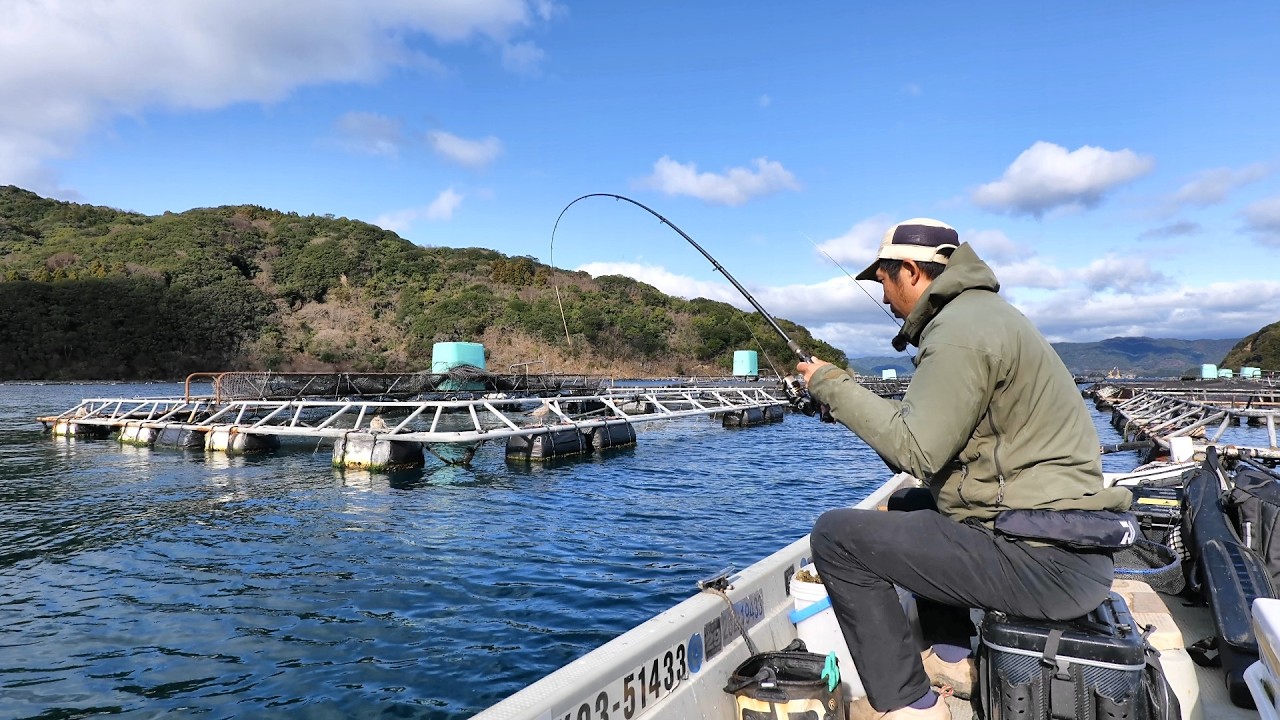 「え、何これ…？」宿毛湾でチヌを狙っていたら、正体不明の魚が…