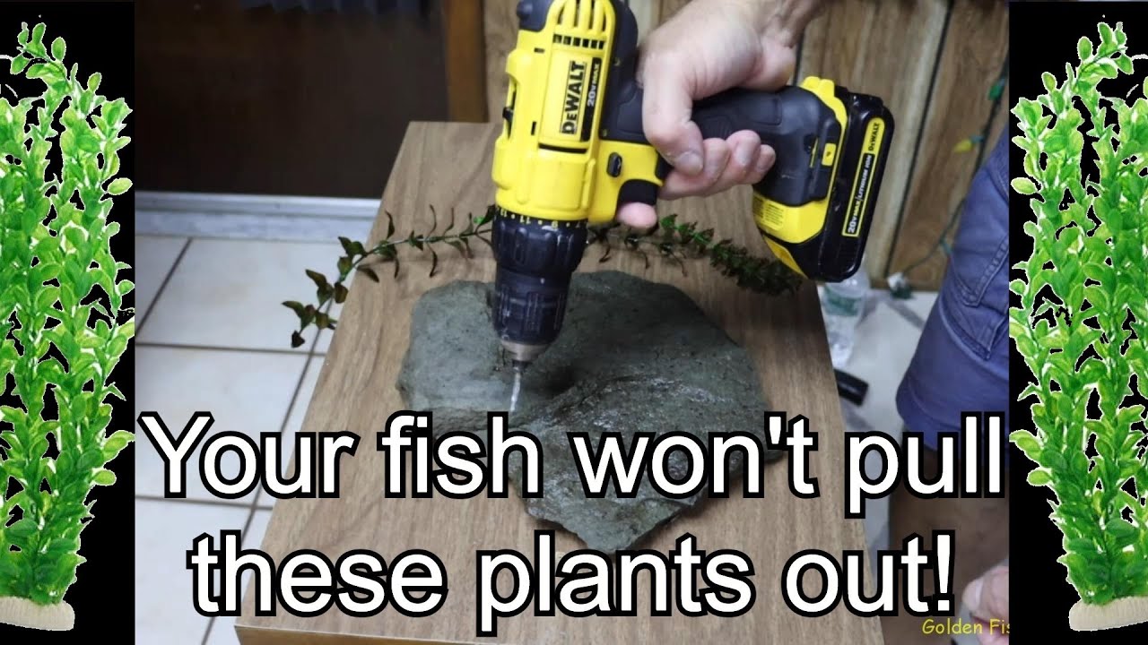DIY Aquarium plant anchors YOUR FISH WON'T PULL THESE PLANTS OUT!