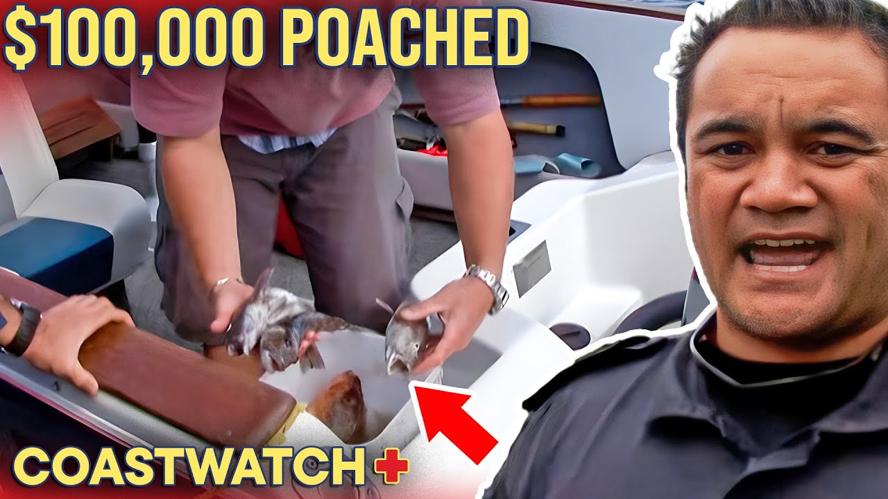 CAUGHT With $100,000 of Illegal Fish! | Coastwatch - S04 E10 (FULL EPISODE)