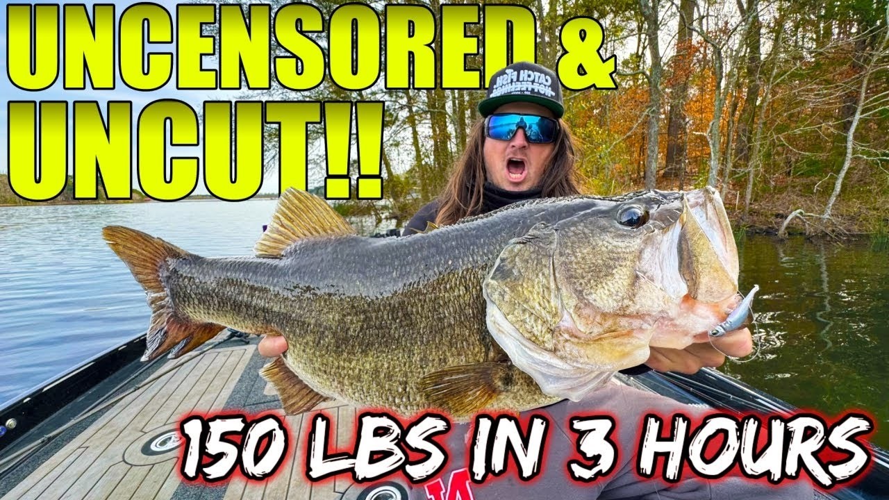 Epic 3 HOURS of Fall Bass Fishing in Texas – 150+ Pounds Caught!