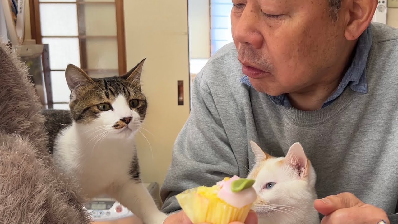 お菓子が気になるテンくんの表情がかわいいwww
