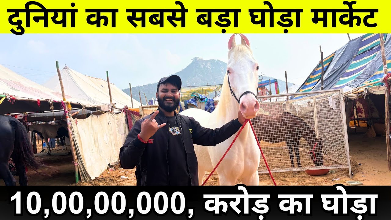 I Explored the World&rsquo;s Biggest Horse Market in India | Pushkar Mela 2025