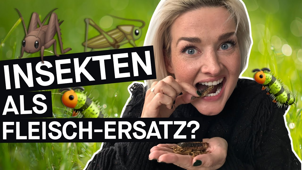 Insekten essen: Fleischersatz und Klimaretter – funktioniert das im Alltag? || PULS Reportage