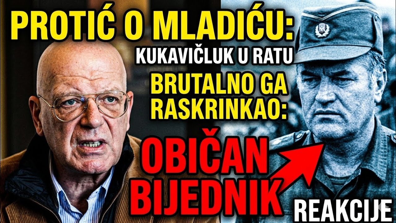 Milan St. Protić o Srebrenici i Ratku Mladiću