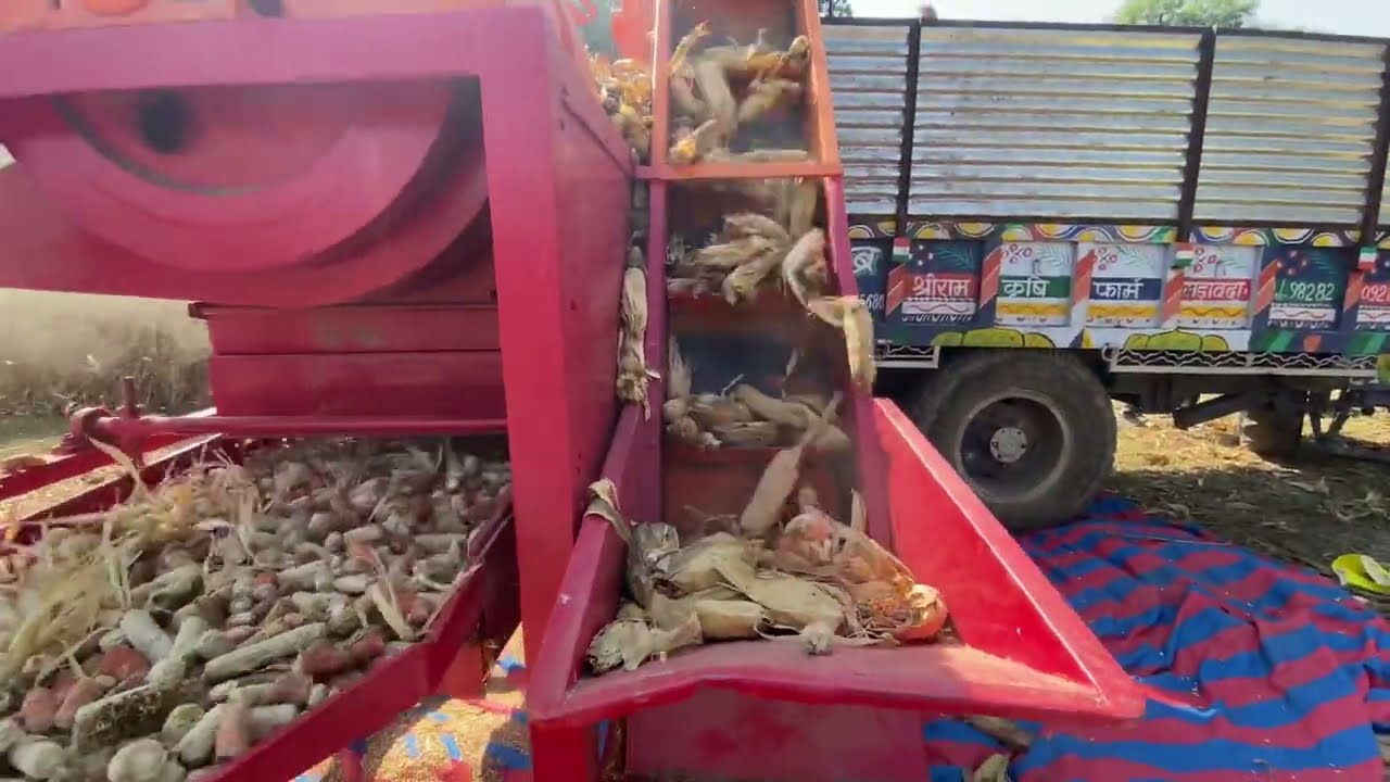 कम समय सबसे जियादा मक्का निकालने वीडियो जरूर देखे Jangeer maize thresher working #maize #thresher
