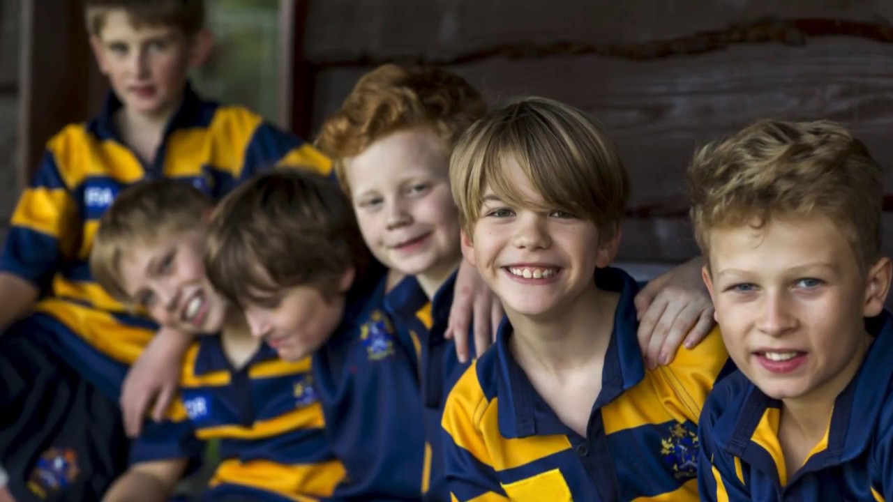 What a Year Blue Coat 2016 to 2017