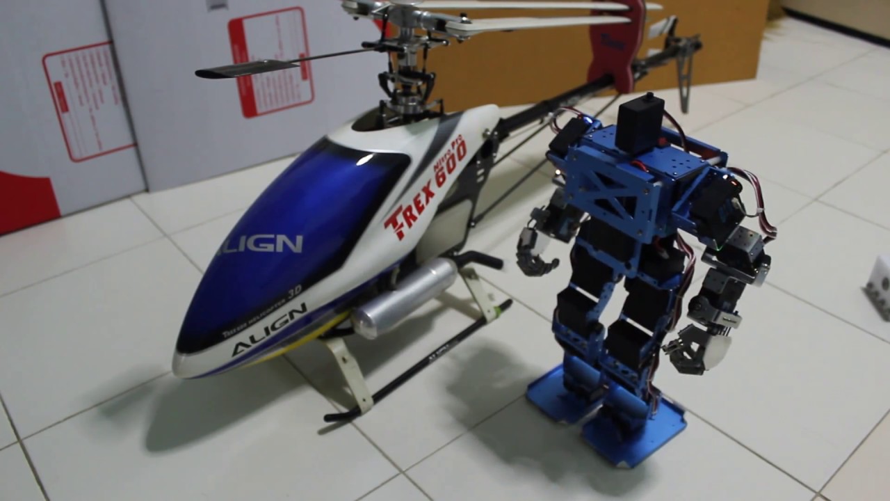 17DOF Robot Humanoid Tomelectronics1.com