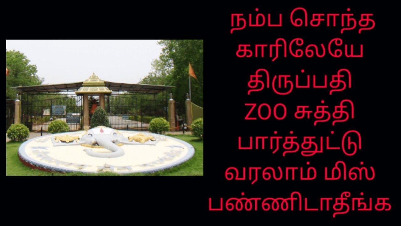 Sri Venkateswara Zoological Park best place to visit in Tirupati