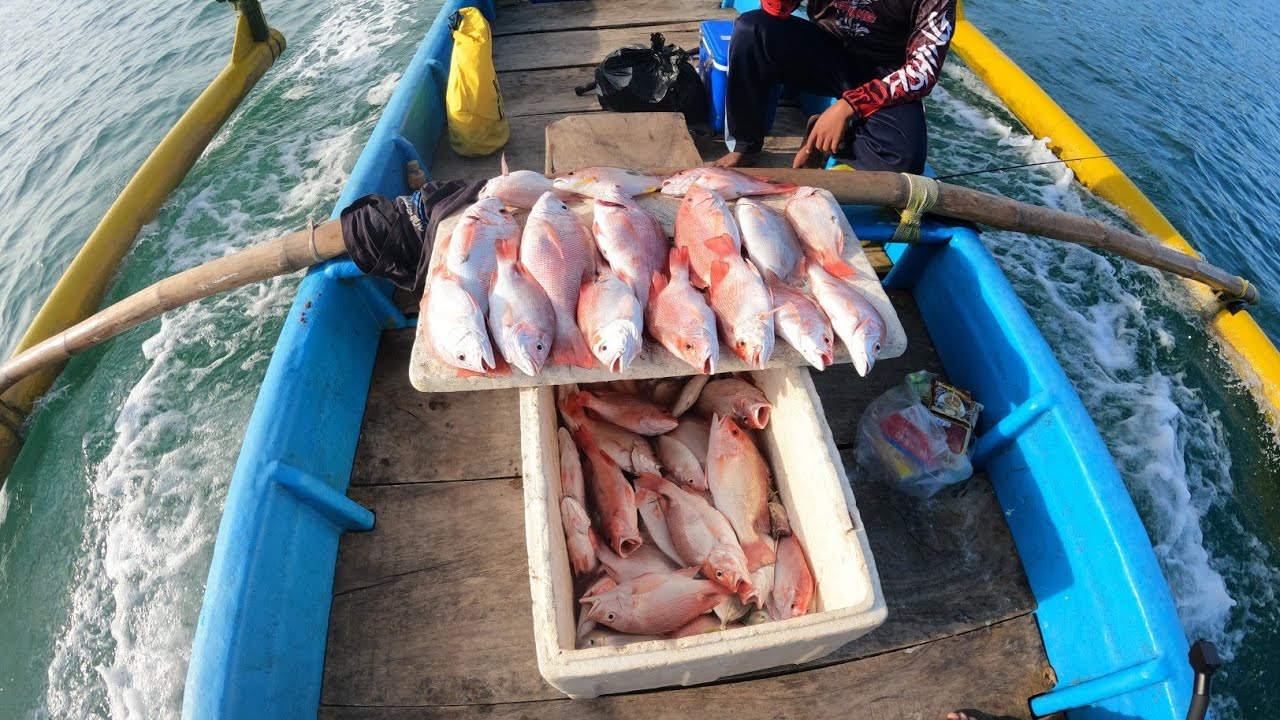 Full Strike Ikan Kakap Merah |Tepat Di Sarangnya Ikan | Sembulungan Muncar