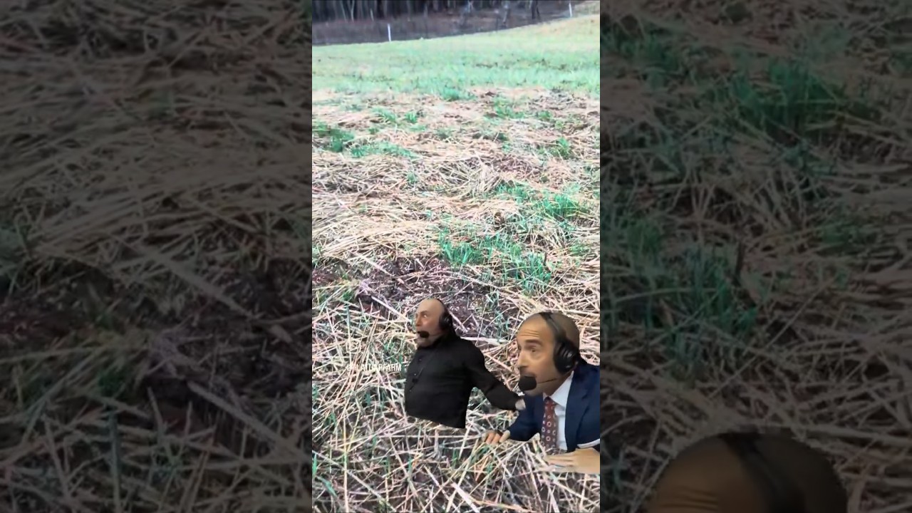 How you react when your seed sprouts