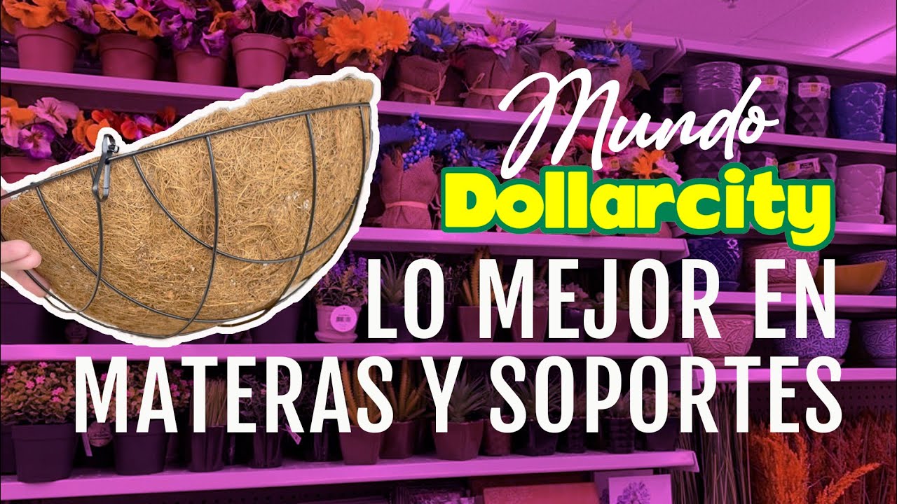 #DOLLARCITY Lo mejor en MATERAS y PORTAMATERAS #JardineríaDollarcity
