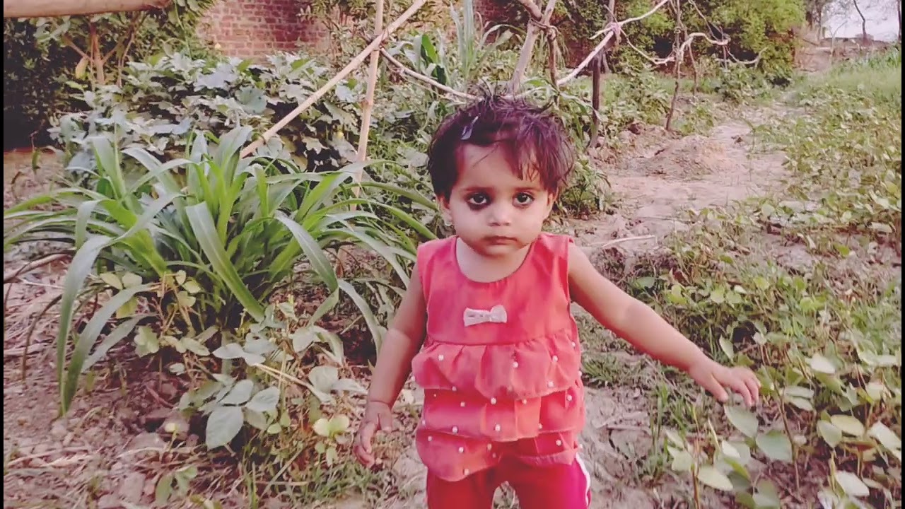 ambah vlog