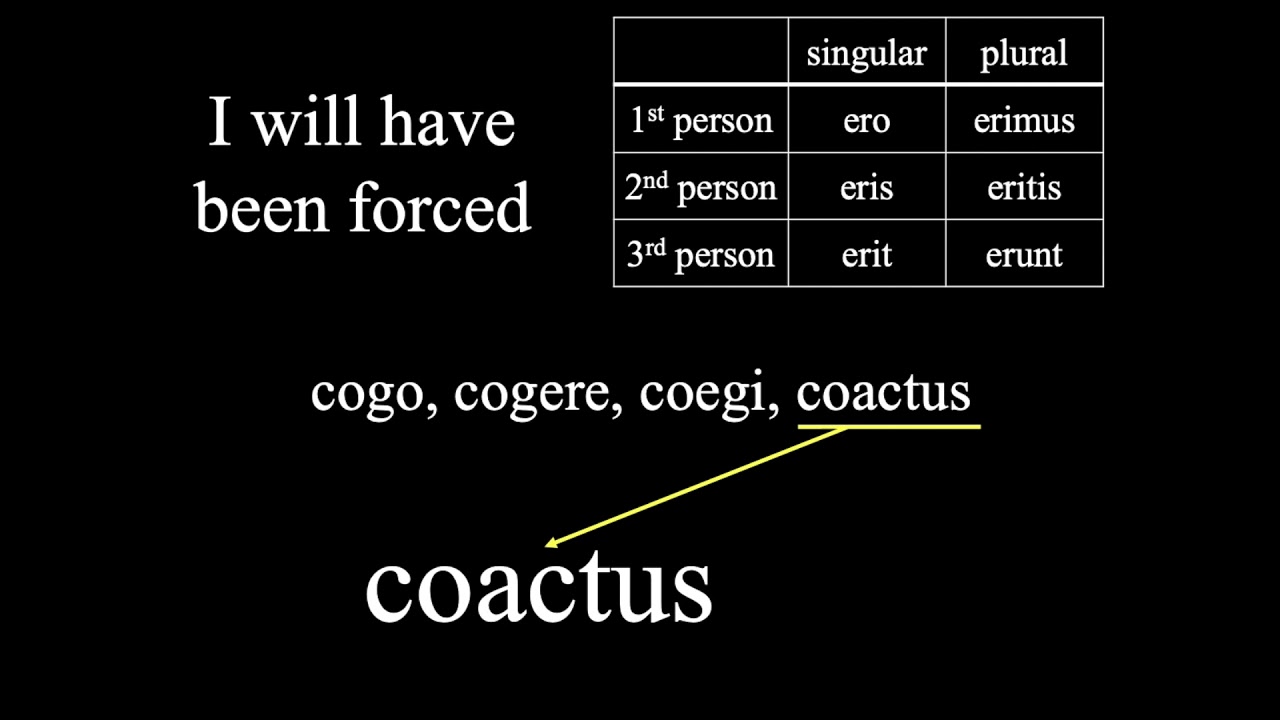 Unit 10 - future perfect passive