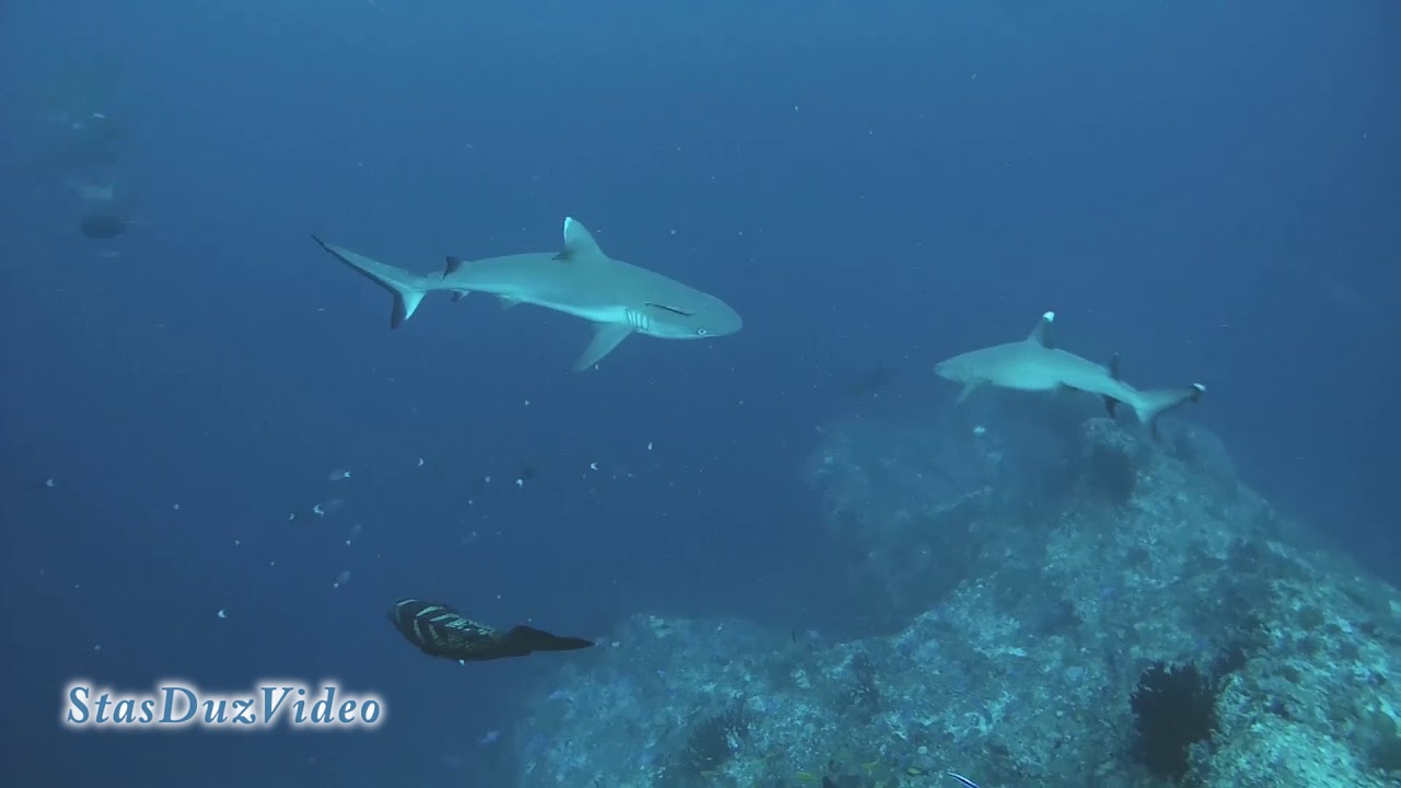 Our Wild MalDives  Part2