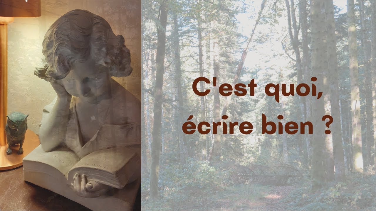 C'est quoi, écrire bien ?