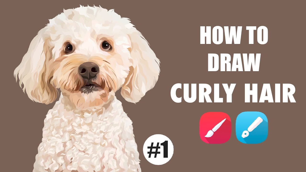 How to Draw Curly Hair Vector Pet Part1 | Tutorial Membuat Vector Pet Bulu Keriting